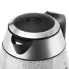 Electric kettle with temperature control ZCK8030