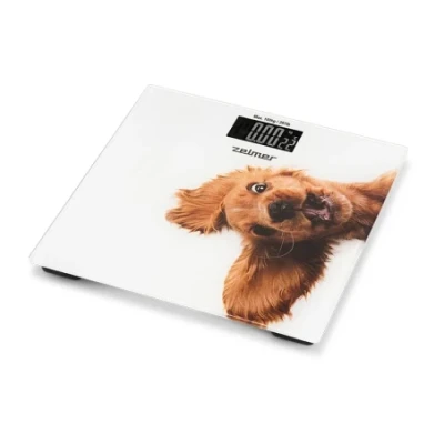 Bathroom scale ZBS1010
