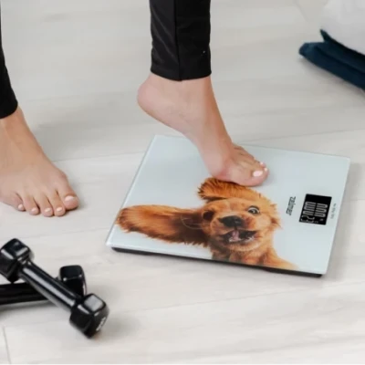 Bathroom scale ZBS1010