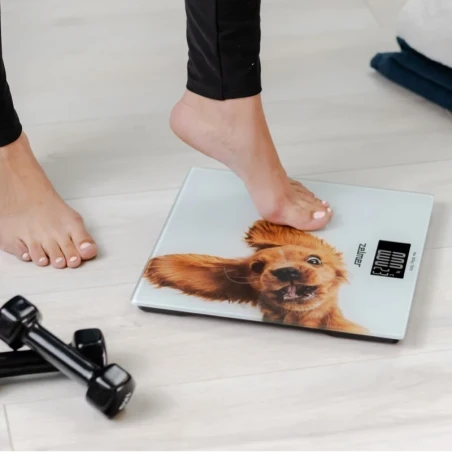 Bathroom scale ZBS1010
