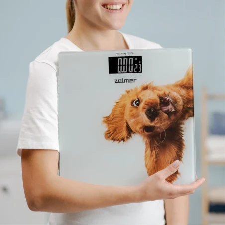 Bathroom scale ZBS1010