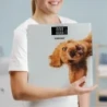 Bathroom scale ZBS1010