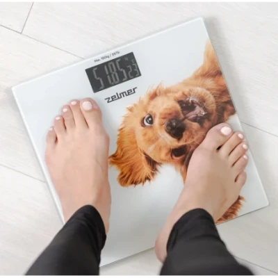 Bathroom scale ZBS1010