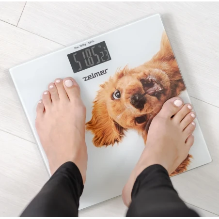 Bathroom scale ZBS1010