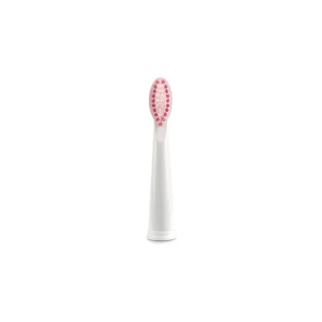 Electric toothbrush ZTB1010W