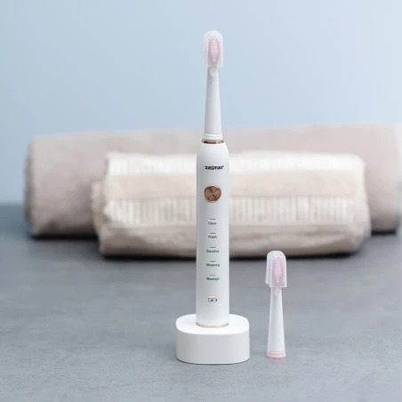 Electric toothbrush ZTB1010W