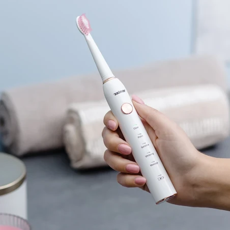 Electric toothbrush ZTB1010W