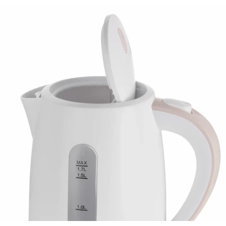 Electric kettle ZCK7616I