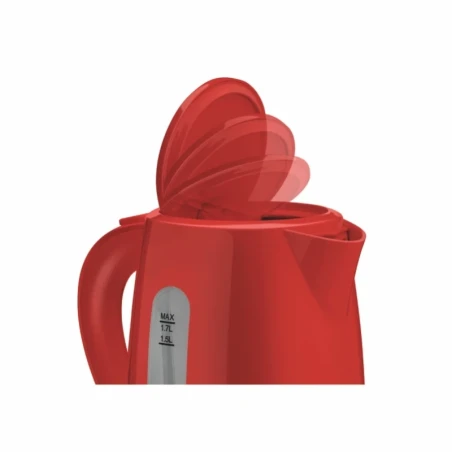 Electric kettle ZCK7616R