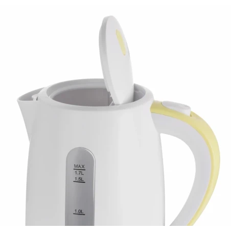 Electric kettle ZCK7616L