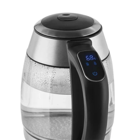 Electric kettle with temperature control ZCK8030