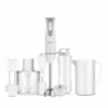Blender ręczny ZHB4555S