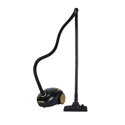 Aspirator cu sac ZVC250 Edek