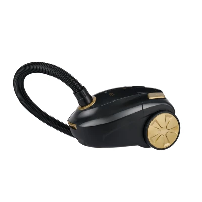 Aspirator cu sac ZVC250 Edek