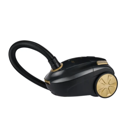 Aspirator cu sac ZVC250 Edek