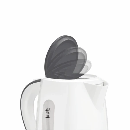 Electric kettle ZCK7619